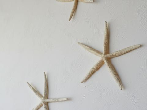 квартира по адресу Юрия Шумского ул., 1-Б