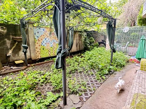 квартира по адресу Дача Ковалевского ул., 101А