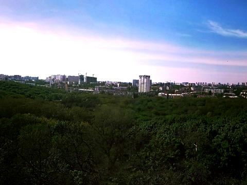 квартира по адресу Родимцева генерала ул. (Генерала Родимцева), 11