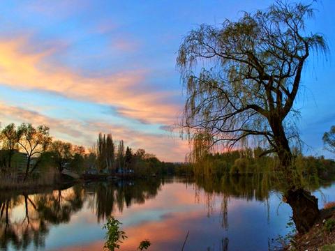 квартира за адресою Харків, Борткевича вул., 13