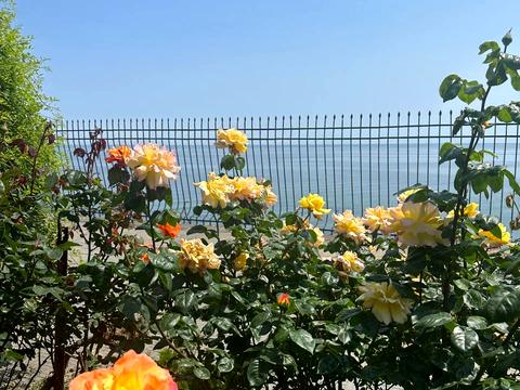 будинок за адресою Берегова вул.