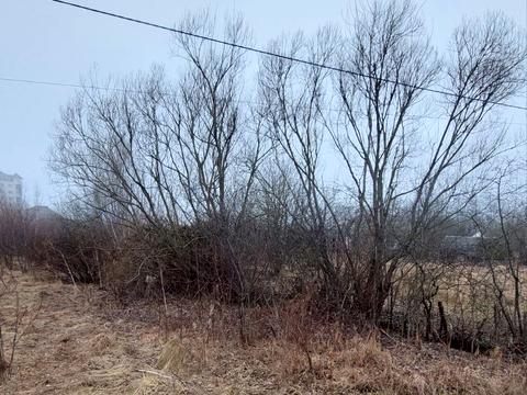 ділянка за адресою смт. Богородчани, Шевченка вул., 3