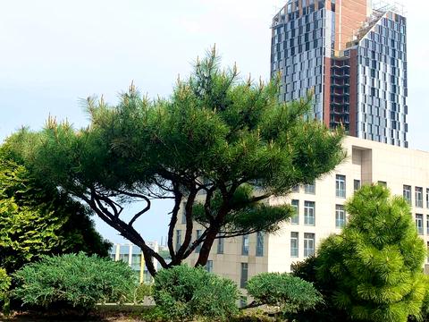 квартира за адресою Дніпро, Володимира Вернадського вул. (Дзержинського), 35-Т