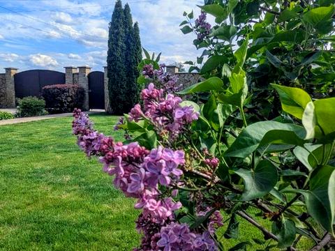 будинок за адресою Чернинська вул.