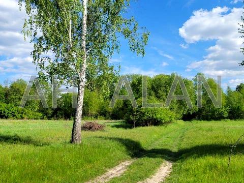 ділянка за адресою с. Таценки, 
