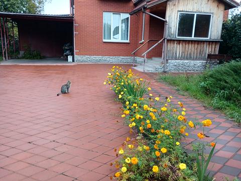 дом по адресу Старое Село ул., 86
