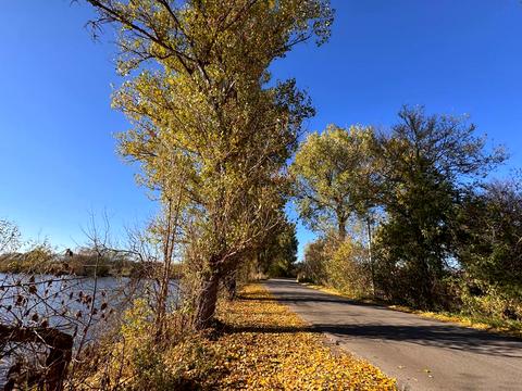 будинок за адресою Центральна