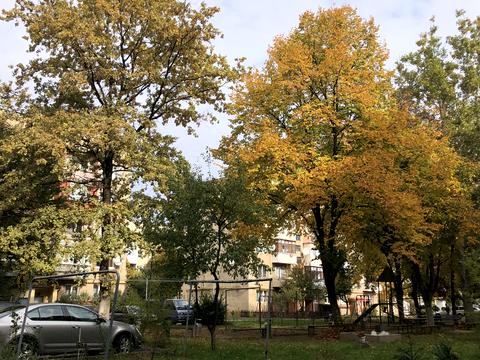 квартира по адресу Ілони Зріні ул., 67 В