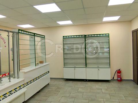 коммерческая по адресу Святителя Григория Богослова ул. (Софии Перовской), 7