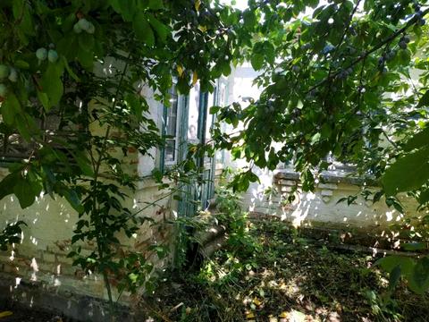 участок по адресу с. Рожки, вул.Центральна 31