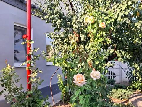 будинок за адресою Щитова вул.