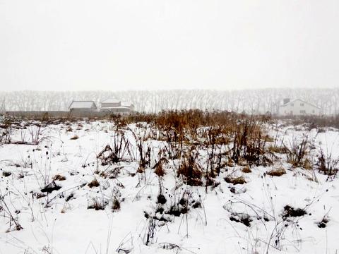 участок по адресу Раппопорта