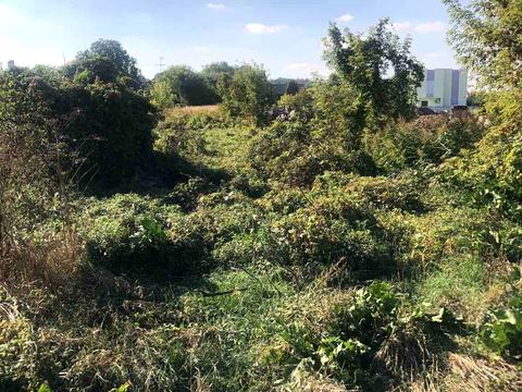 ділянка за адресою Лесі Українки вул., 24