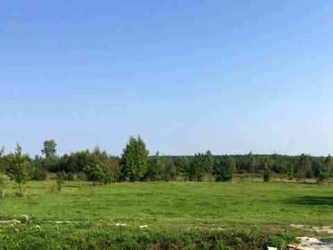 ділянка за адресою Лісова вул.