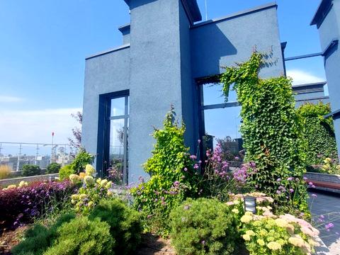 квартира по адресу Курортный пер., 2