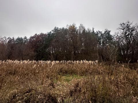 ділянка за адресою Підлісна