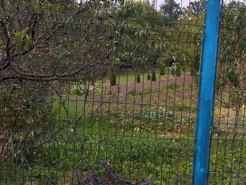 ділянка за адресою Кленова вул.