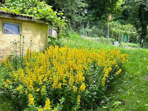квартира по адресу Пекурівська, 20