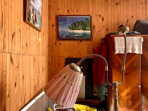 дом по адресу Л.Українки, 14