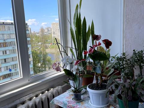 квартира за адресою нет
