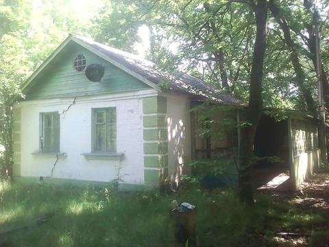 комерційна за адресою Шевченка вул., 43а
