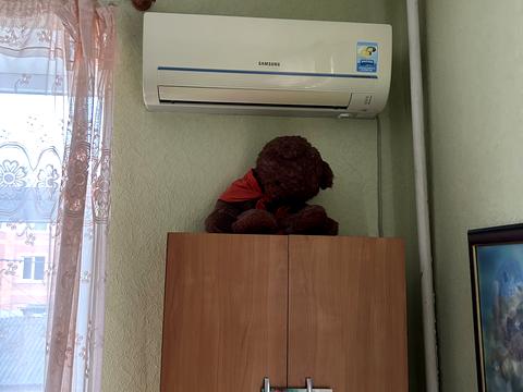 квартира за адресою Шульгіних вул., 9