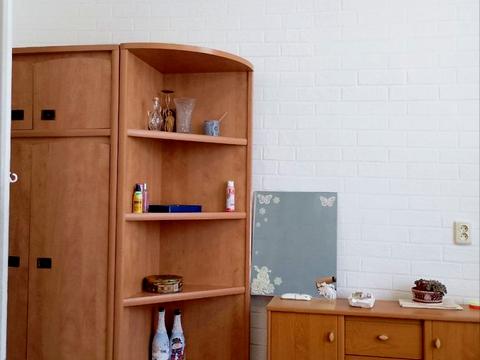 квартира за адресою Павла Зеленого вул. (Коблевська), 38а
