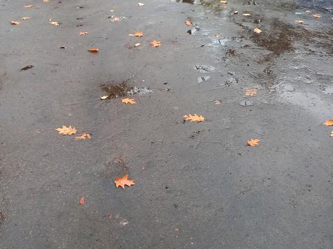 ділянка за адресою Козоріса, 44а