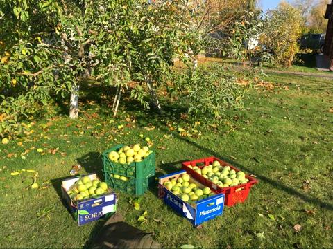 дом по адресу Героев Днепра ул.