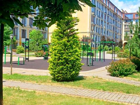 квартира по адресу Дача Ковалевского ул., 121 к1