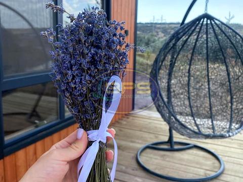 участок по адресу с. Адамовка, 