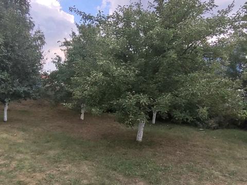будинок за адресою с. Катюжанка, Заводська вул.