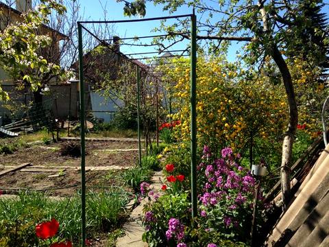 будинок за адресою Георгія Липського вул. (Толбухіна), 40