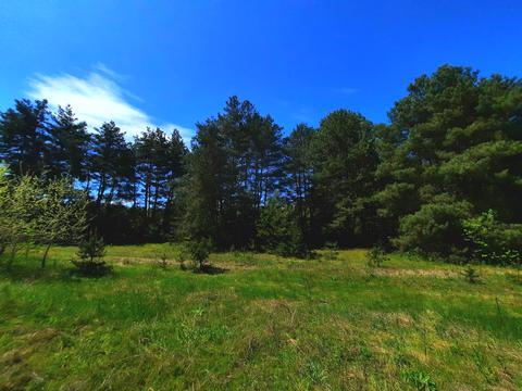 ділянка за адресою вул.Соснова, 79