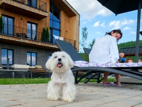 комерційна за адресою Стаїще, 552