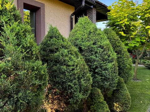 будинок за адресою с. Плюти, Абрикосова, 9