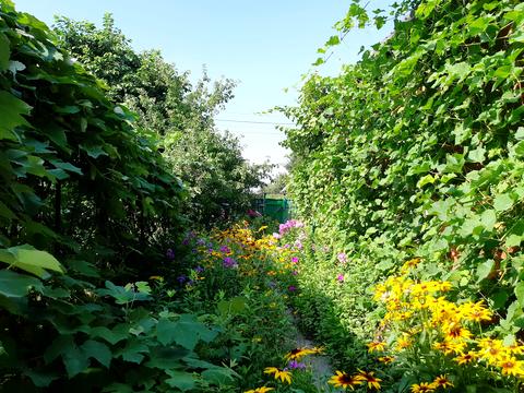 участок по адресу Евгения Патона ул., 8