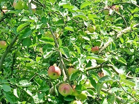 будинок за адресою Стрийська вул.