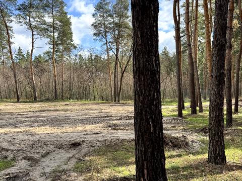 ділянка за адресою с. Піщанка, Садова