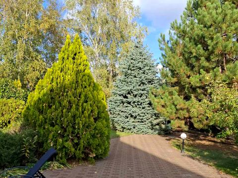 будинок за адресою смт. Слобожанське, Шевченко