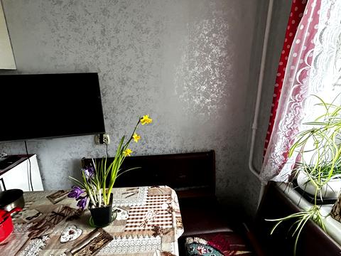 квартира за адресою Петра Ніщинського вул., 12