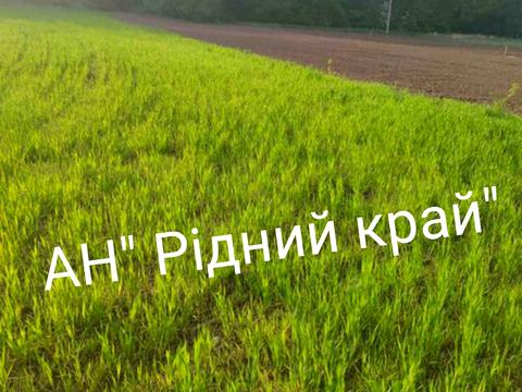 будинок за адресою Полтавський шлях, 10