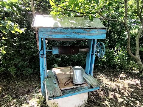 ділянка за адресою с. Велика Вільшанка, Колгоспна