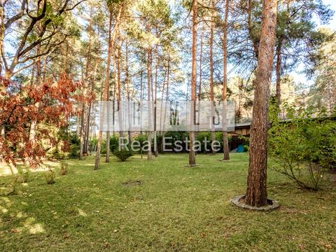 дом по адресу пгт. Козин, Шевченко ул.