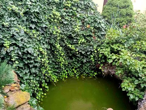 будинок за адресою Шкільна вул., 5