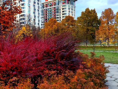 квартира по адресу Юлии Здановской ул. (Ломоносова), 71-З