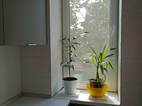 квартира за адресою Гетьмана Самойловича вул., 8