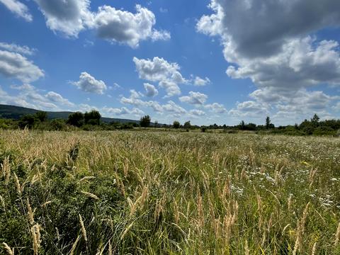 участок по адресу Квіткова
