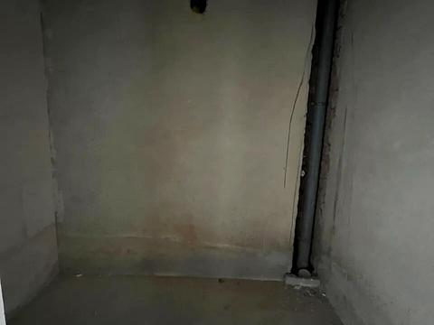квартира по адресу Княгинин ул., 44