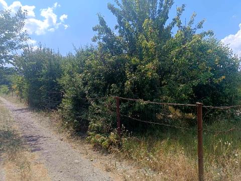 дом по адресу Кропивницкий, Генерала Жадова ул.